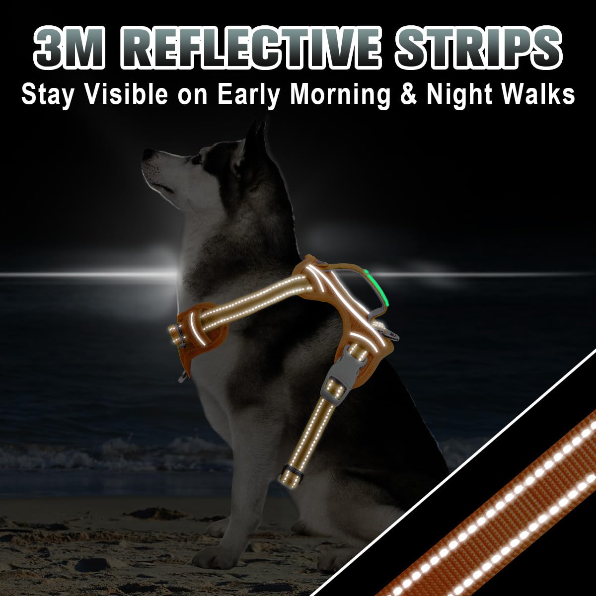 BARKBAY integrated ID pocket adds peace of mind for wandering pets.