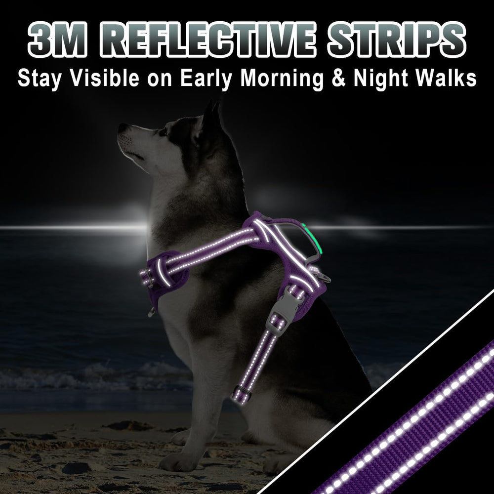 BARKBAY Easy-on-off design saves time at the door.