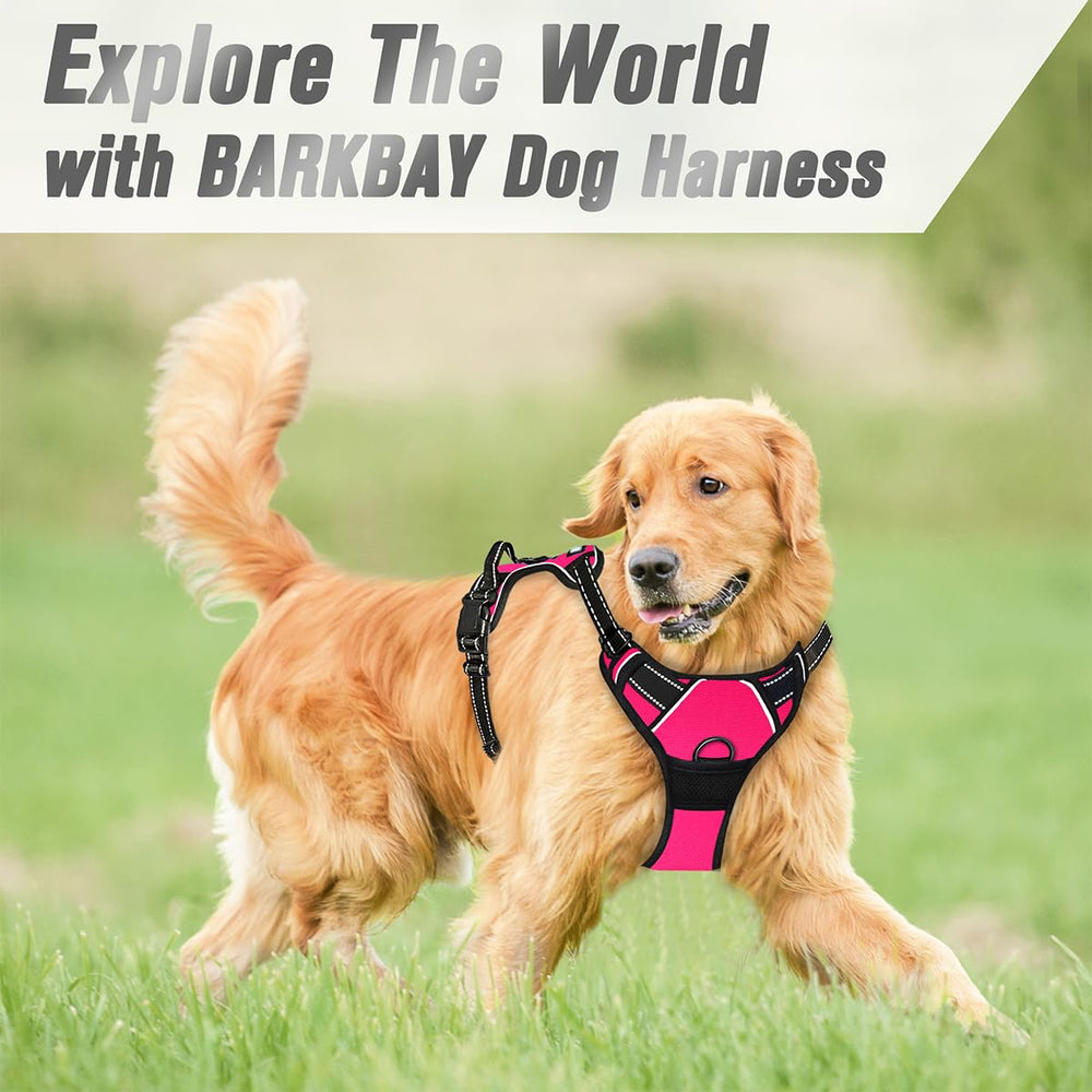 BARKBAY No Pull padding and nylon reduce chafing during walks.