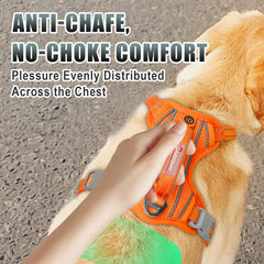 BARKBAY durable padding reduces chafing for comfortable wear.