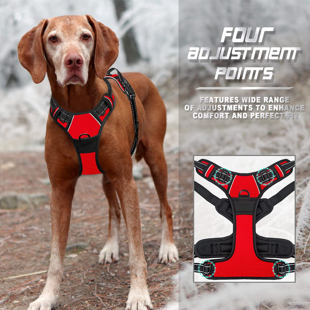 BARKBAY Padded no-rip nylon keeps your dog comfortable on long walks.