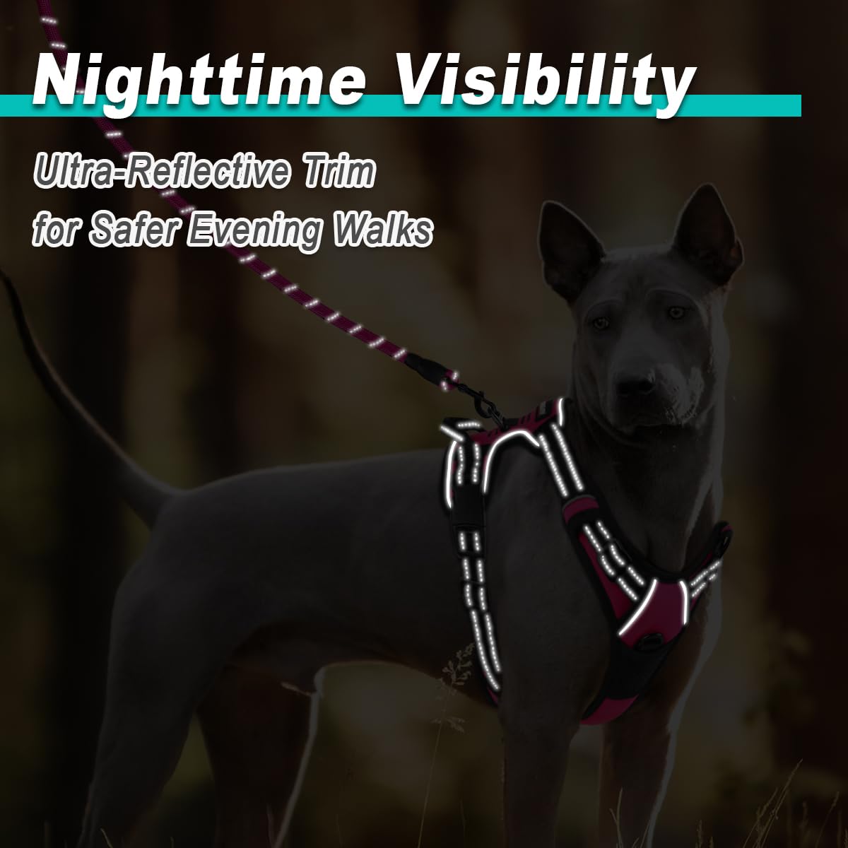 BARKBAY Pink Dog Harness blends style with durable construction