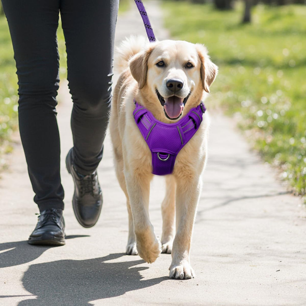 BARKBAY Purple large harness designed for bigger dogs