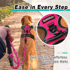 BARKBAY Reflective straps improve visibility in low light