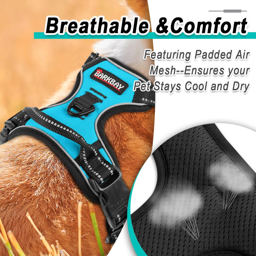 BARKBAY size M harness fits mid sized dogs for better balance.