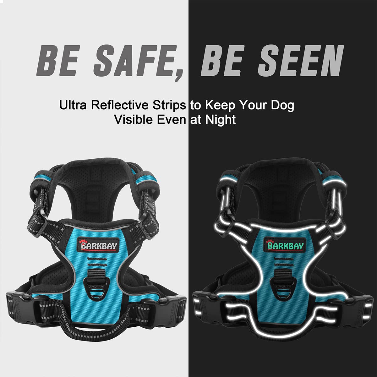 BARKBAY top handle provides quick extra control in crowded areas