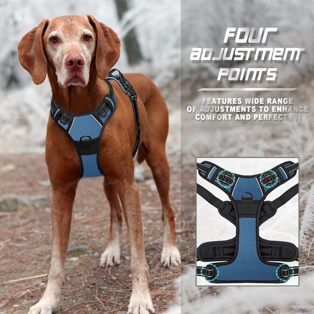 BARKBAY top-lift handle adds quick control in crowds