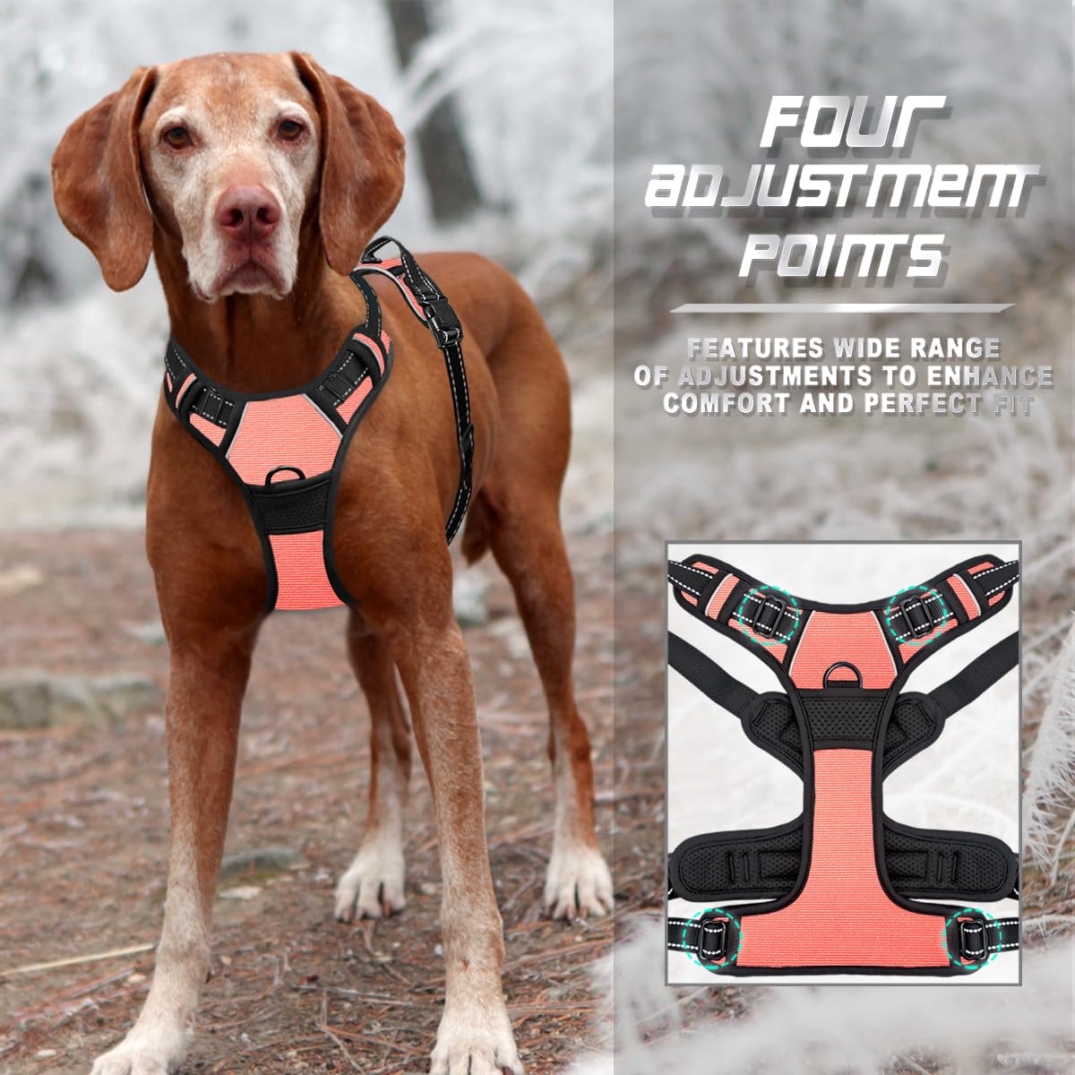 BARKBAY ultra-reflective strips improve night visibility