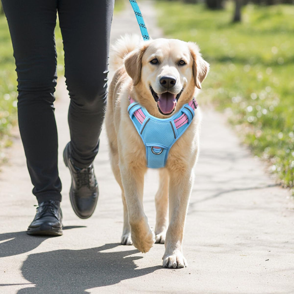 BARKBAY no-pull design supports comfortable training during walks.