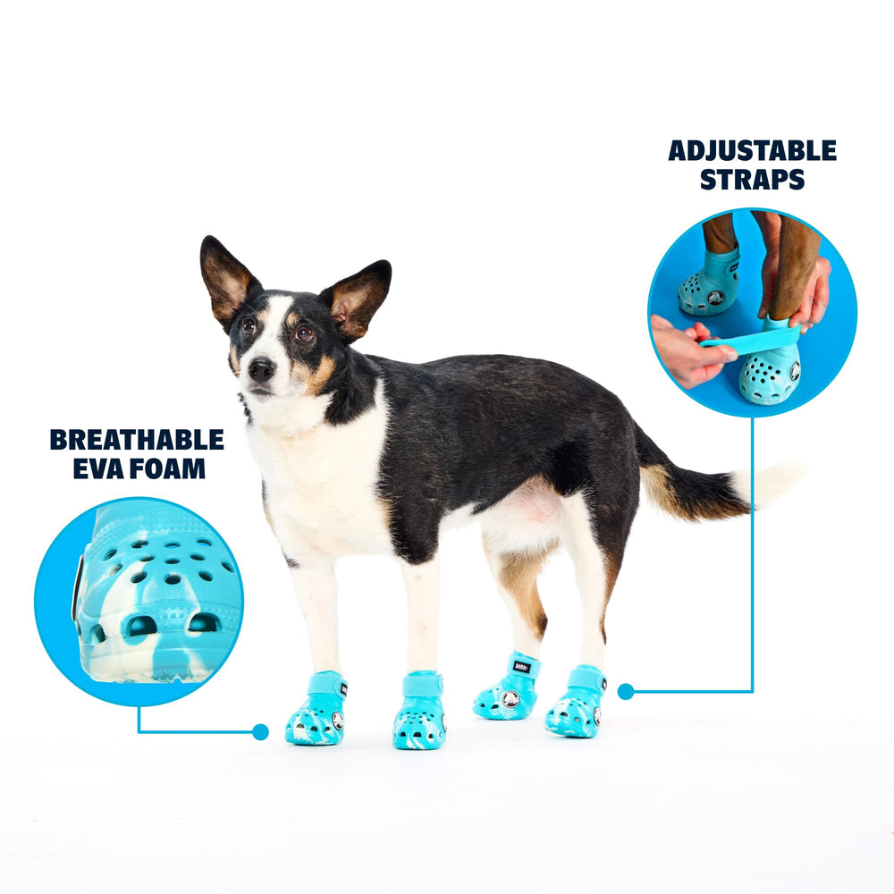 BarkBox Aqua Crocs with adjustable strap for a secure fit on four paws