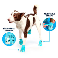 BarkBox Aqua Crocs with adjustable strap ensure a secure, comfortable fit during daily walks.