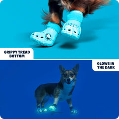 BarkBox Aqua Crocs non‑slip soles providing traction on varied surfaces