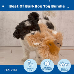 Dingbert Dragon head squeaker from BarkBox adds extra challenge during tug sessions.