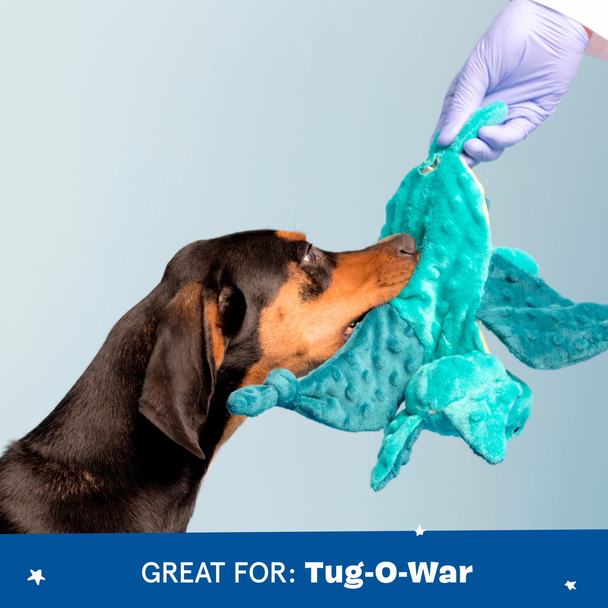 Ollie the Octopus from BarkBox hides a spiky squeaker ball for fetch.