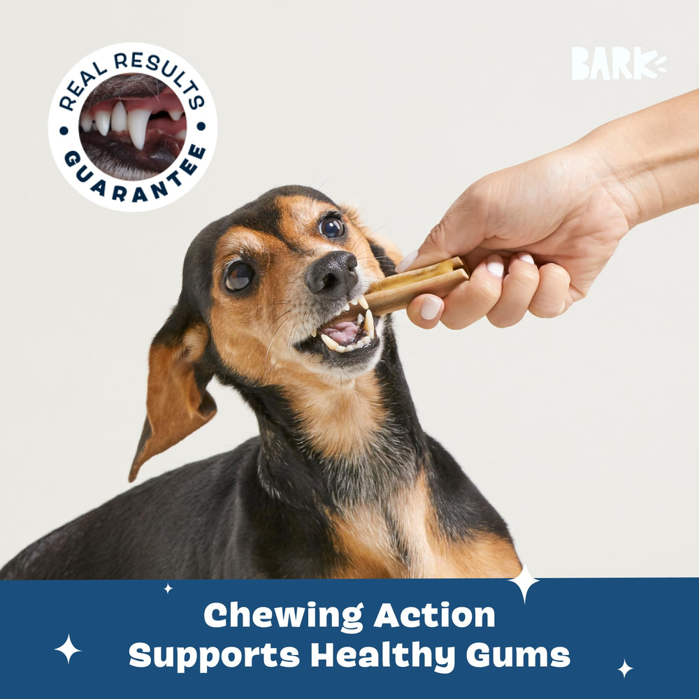 Barkbox Bright curved grooves on a stick for no-mess cleaning.