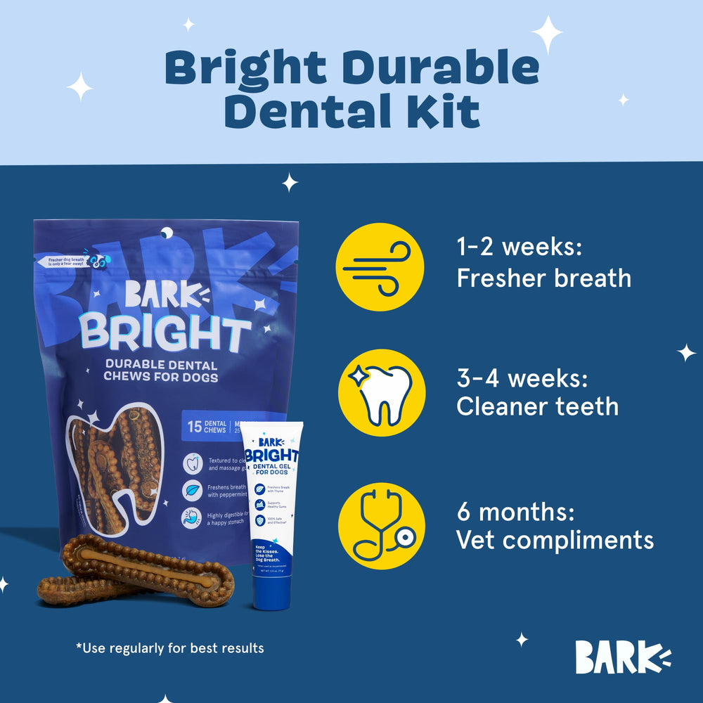 Barkbox Bright dental kit delivering gum massage and crevice cleaning.