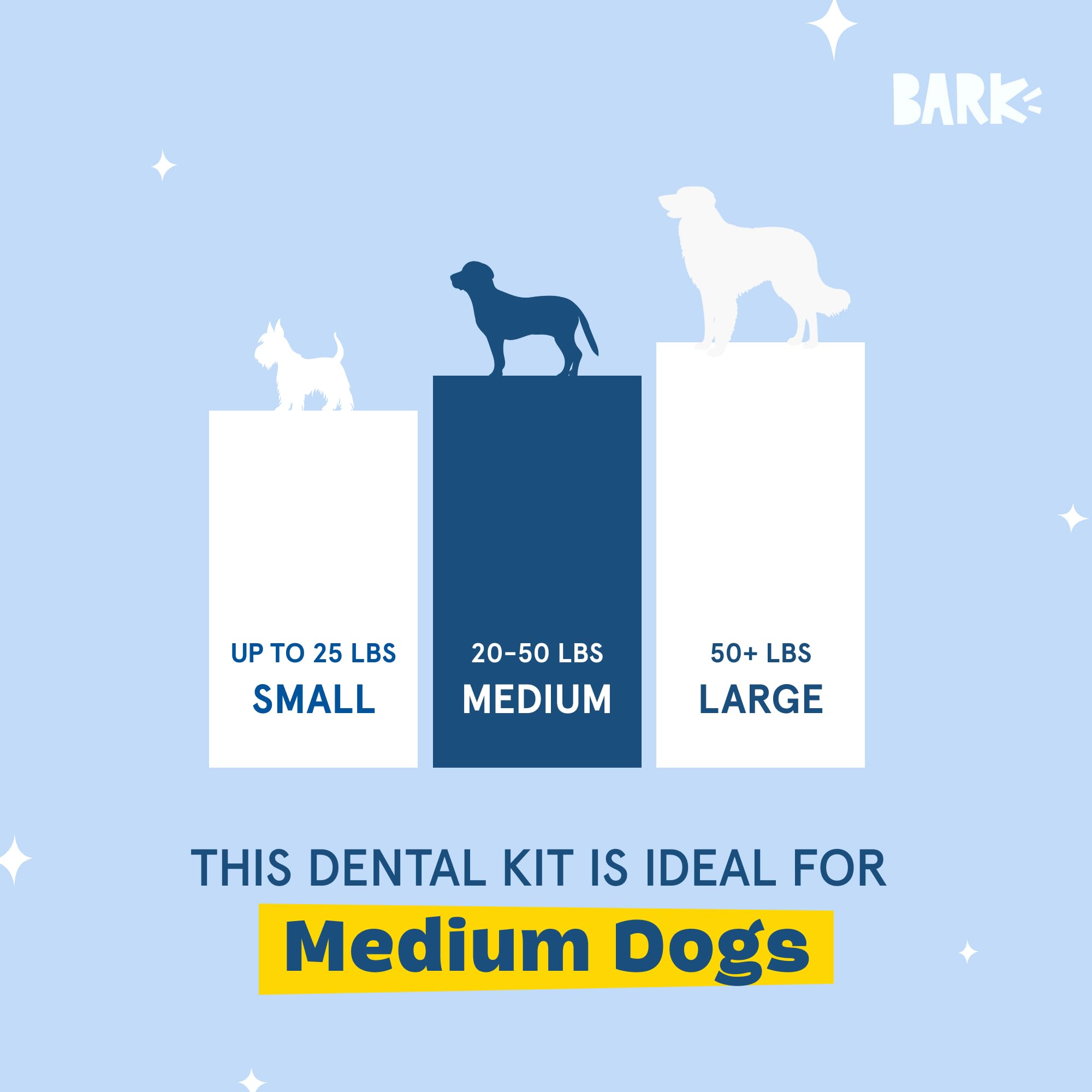 BarkBox Bright dental kit open packaging showing complete care setup.