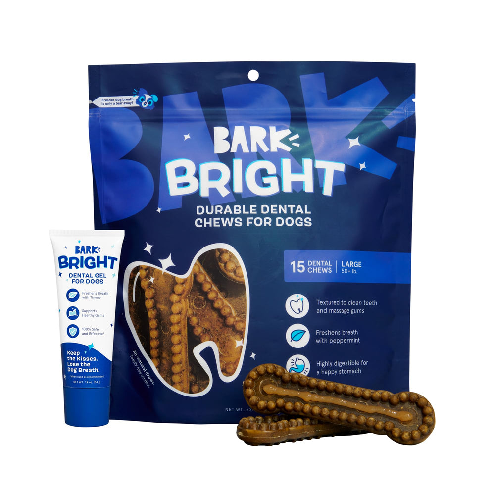 BarkBox Bright dental kit packaging shows complete at-home care for dogs.