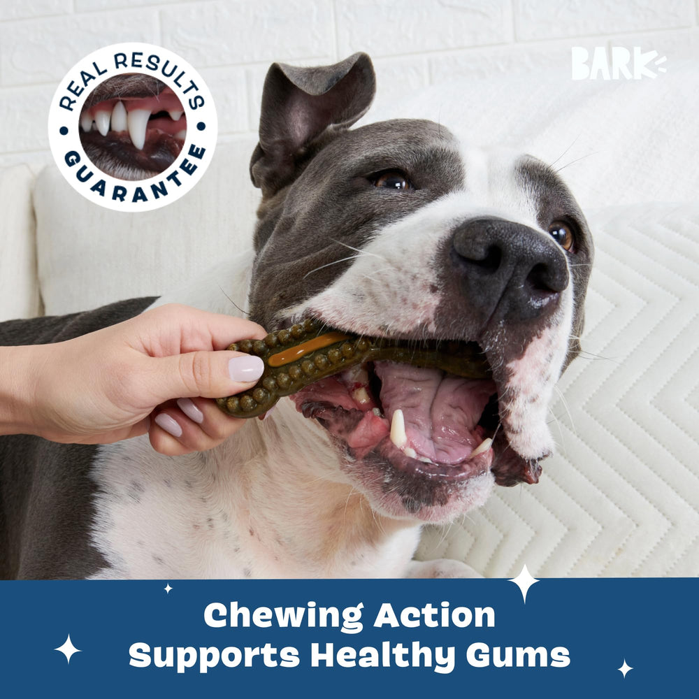 Dog enjoys BarkBox Bright breath-freshening routine after the chew.