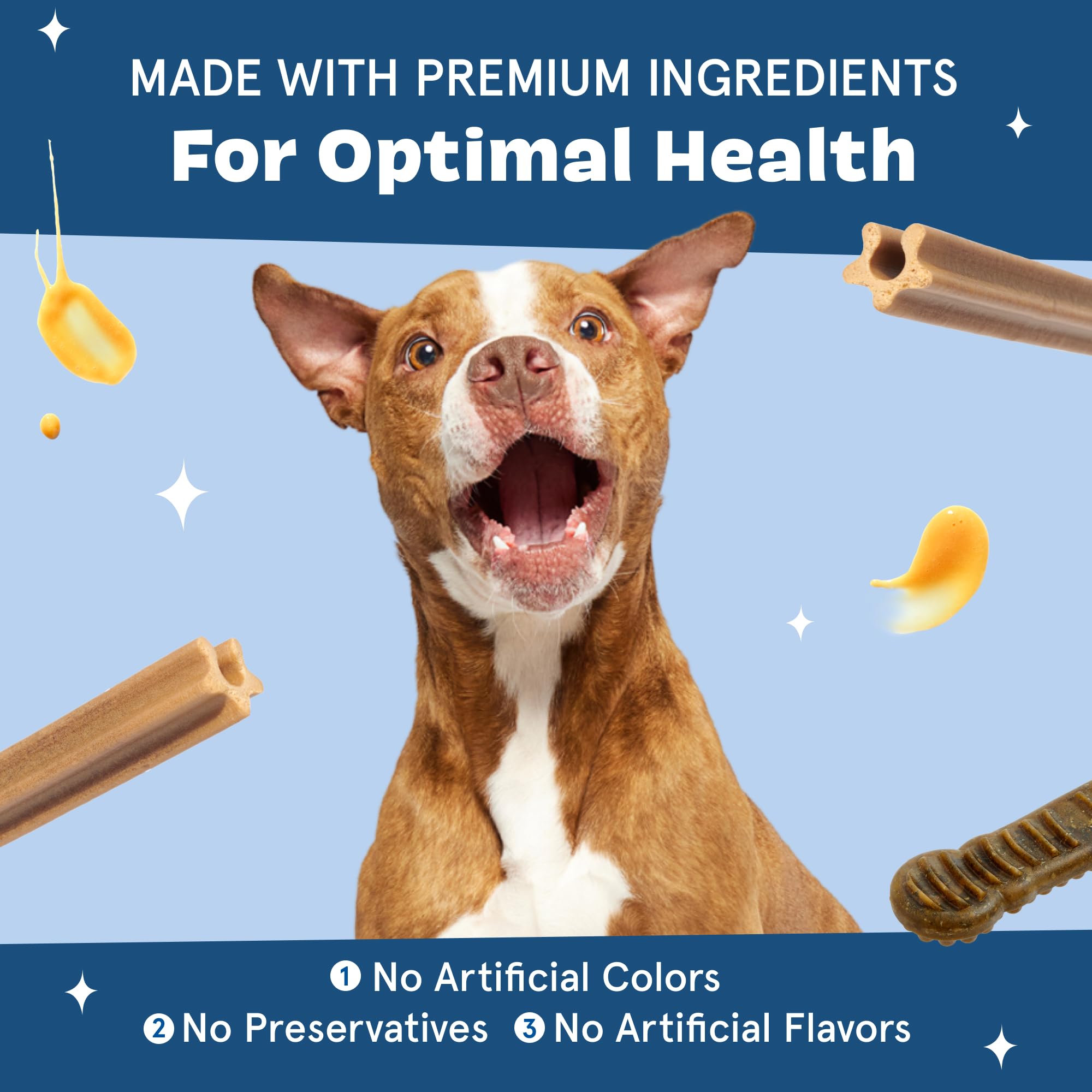 Display of Barkbox Bright kit promoting routine dental care for dogs.