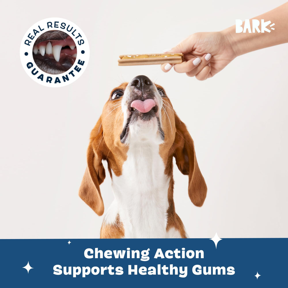 BarkBox Bright dog mouth care in action for fresher breath.