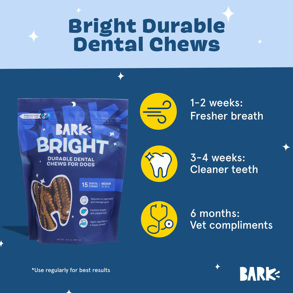 BARKBOX Bright durable dental chew sticks long-lasting for tough chewers.
