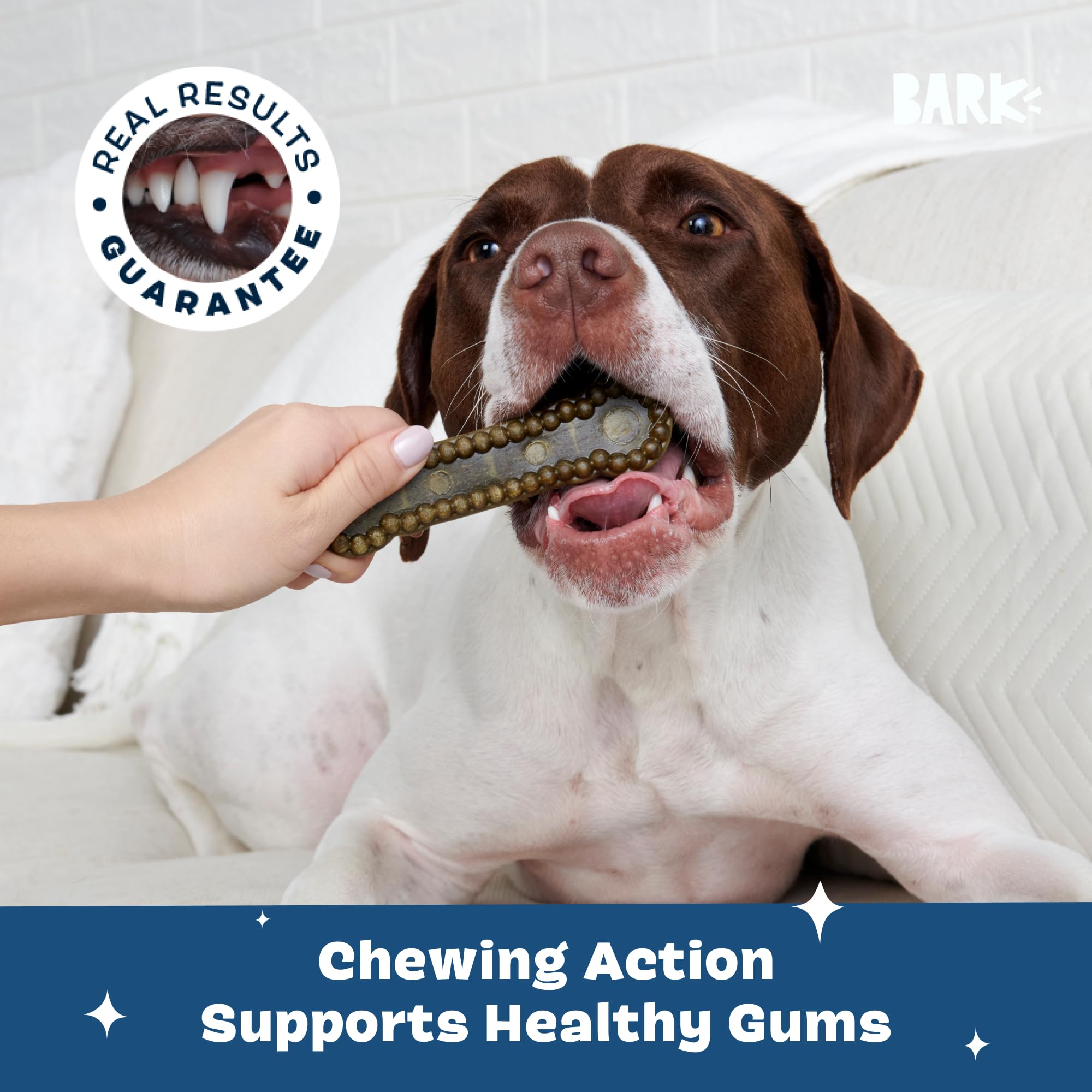BARKBOX Bright durable dental chew sticks for easy daily dental care.