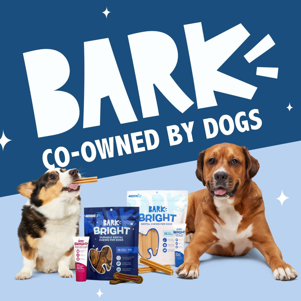 BARKBOX Bright durable dental chew sticks designed for medium breeds.