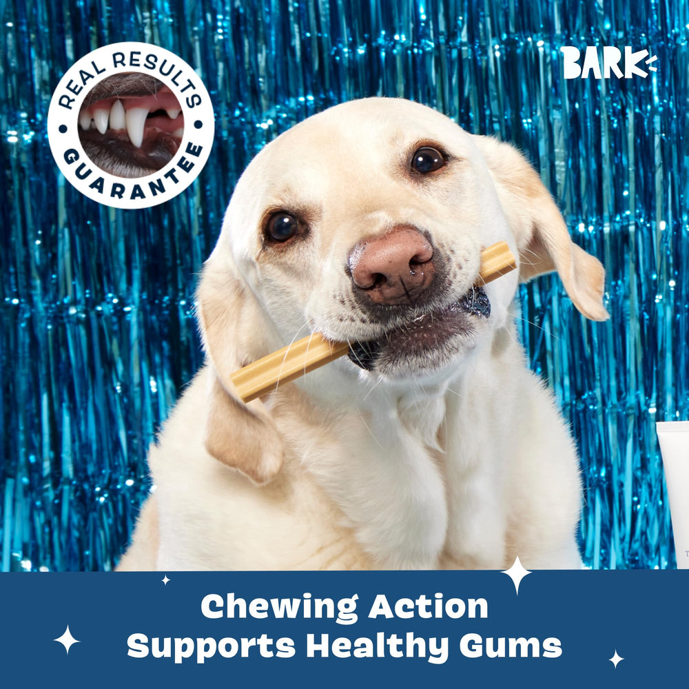 BarkBox Bright chews contain no artificial ingredients for a clean routine.