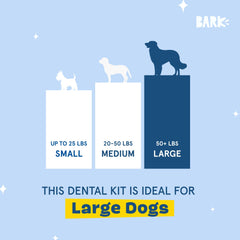BarkBox Bright dental sticks show gum massage action during chewing
