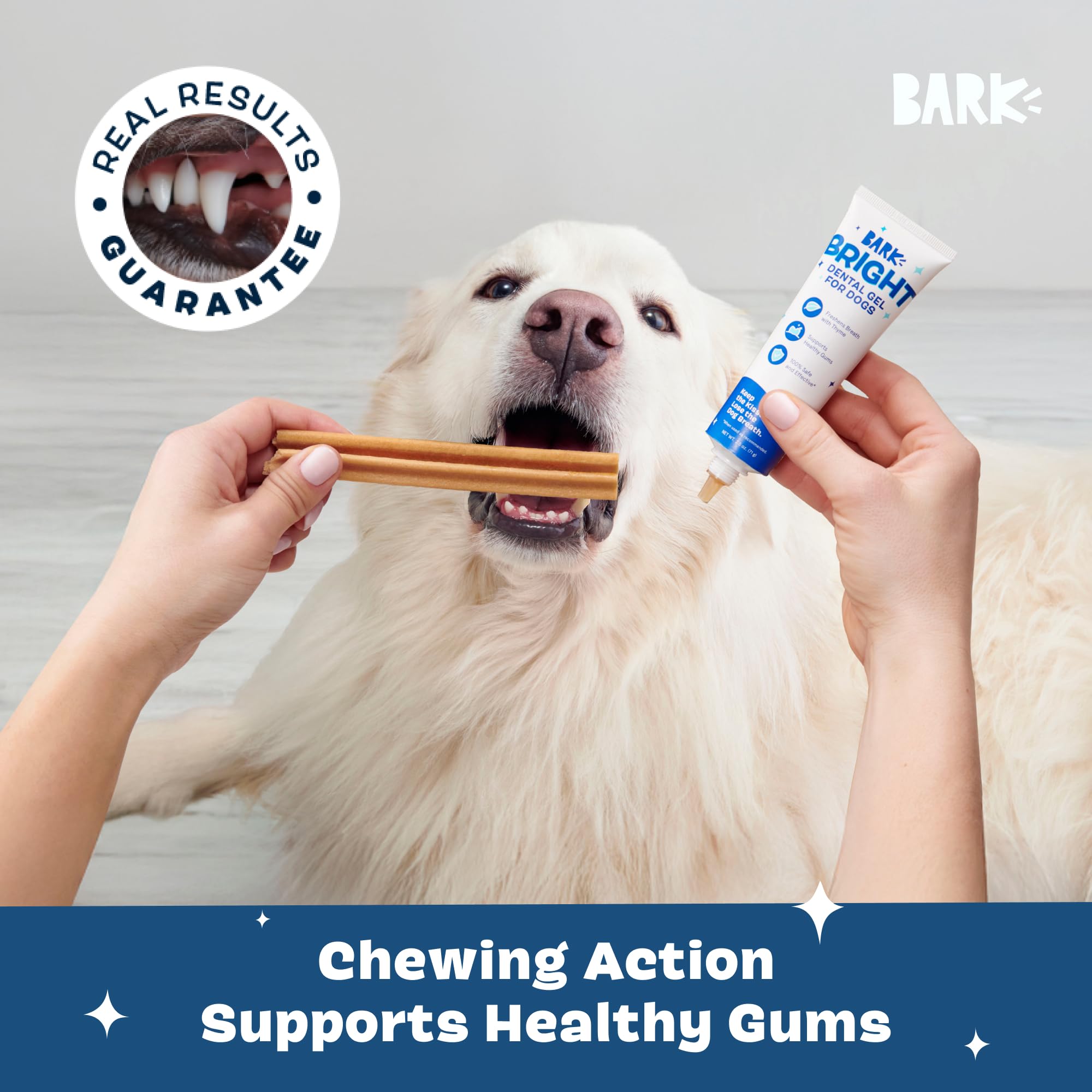 BarkBox Bright sticks in display highlight easy dental routine