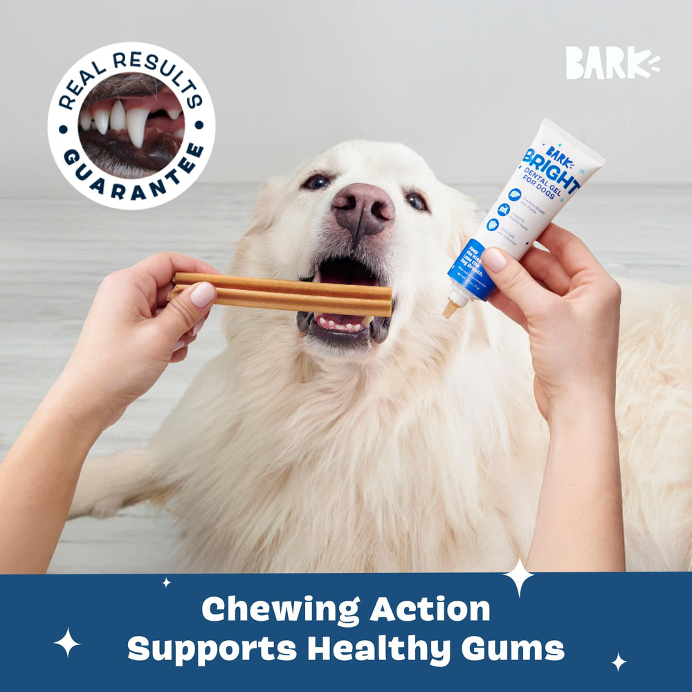 BarkBox Bright sticks in display highlight easy dental routine