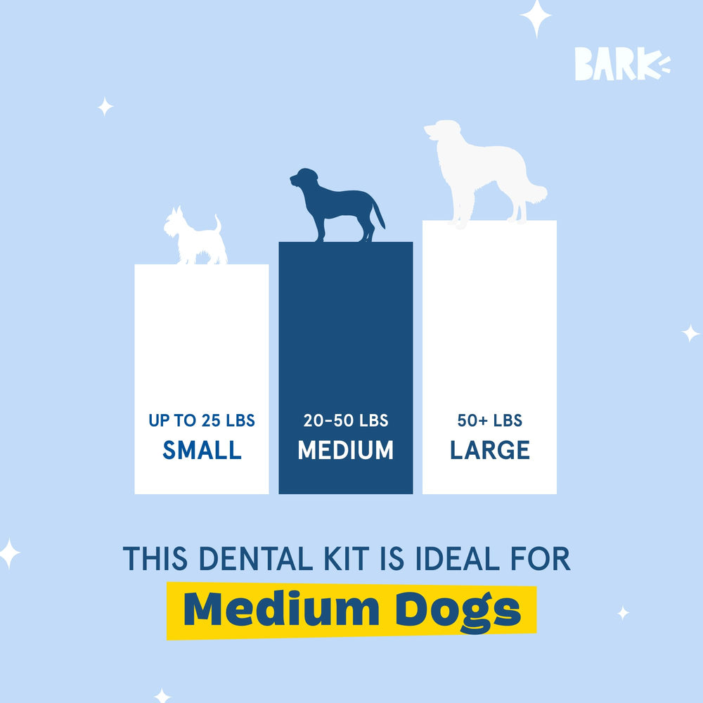 Toothpaste tube from Barkbox Bright kit ready for brushing sessions.