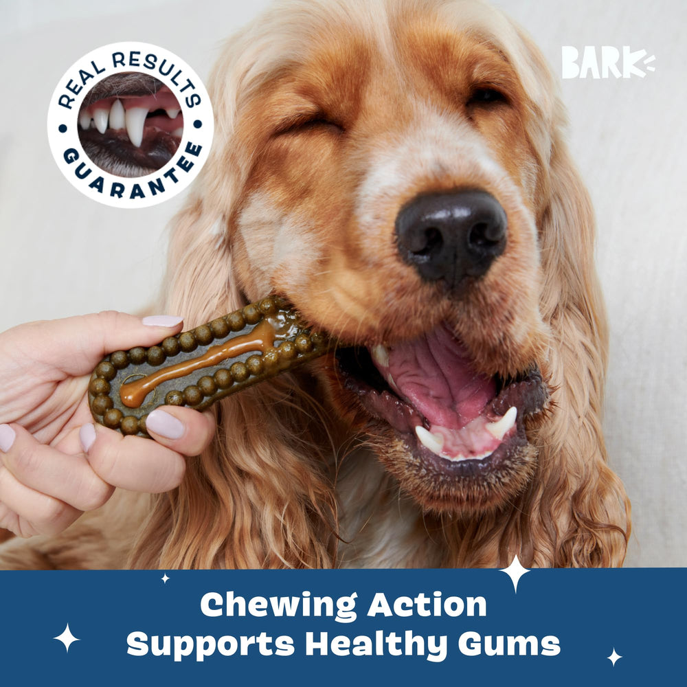 Medium dogs enjoy Barkbox Bright dental chews during a calm chew time.