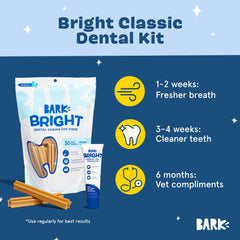 BarkBox Bright toothpaste gel tube paired with sticks for easy application.