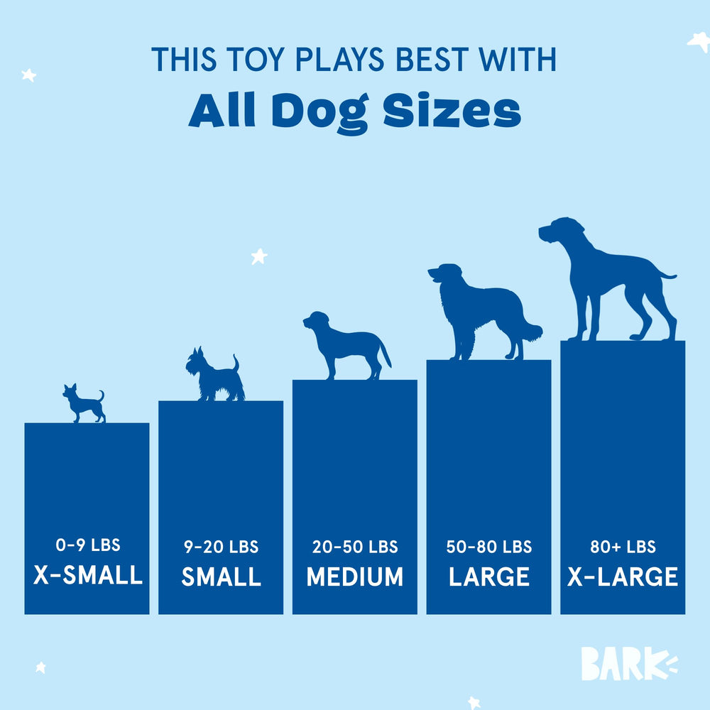 BarkBox Barkarita toy designed for all sizes, from tiny pups to large dogs.