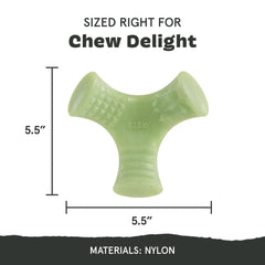 BarkBox Chopper mint scent engages dogs during dental-focused play.