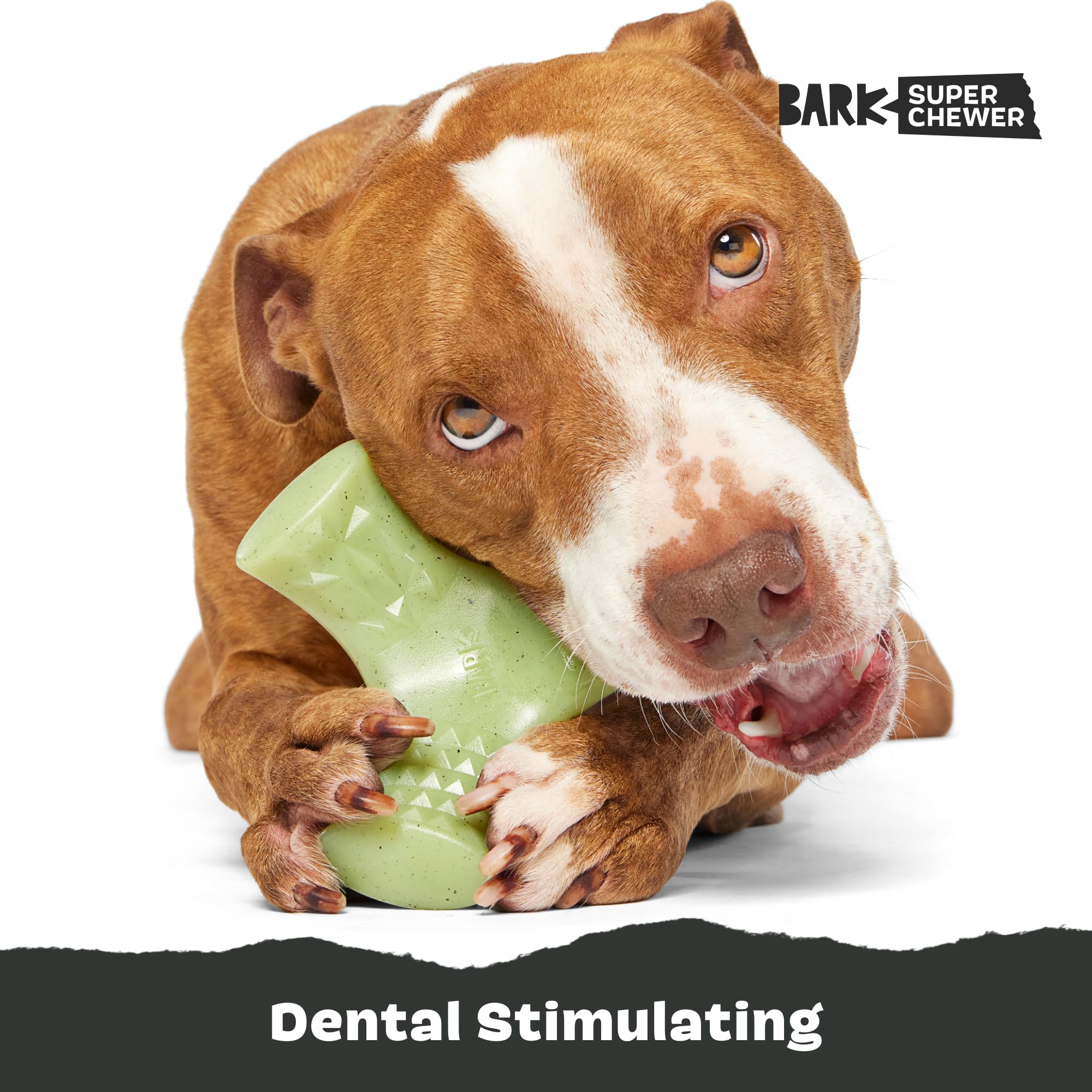 BarkBox Chopper suitable for teething puppies and strong chewers alike.