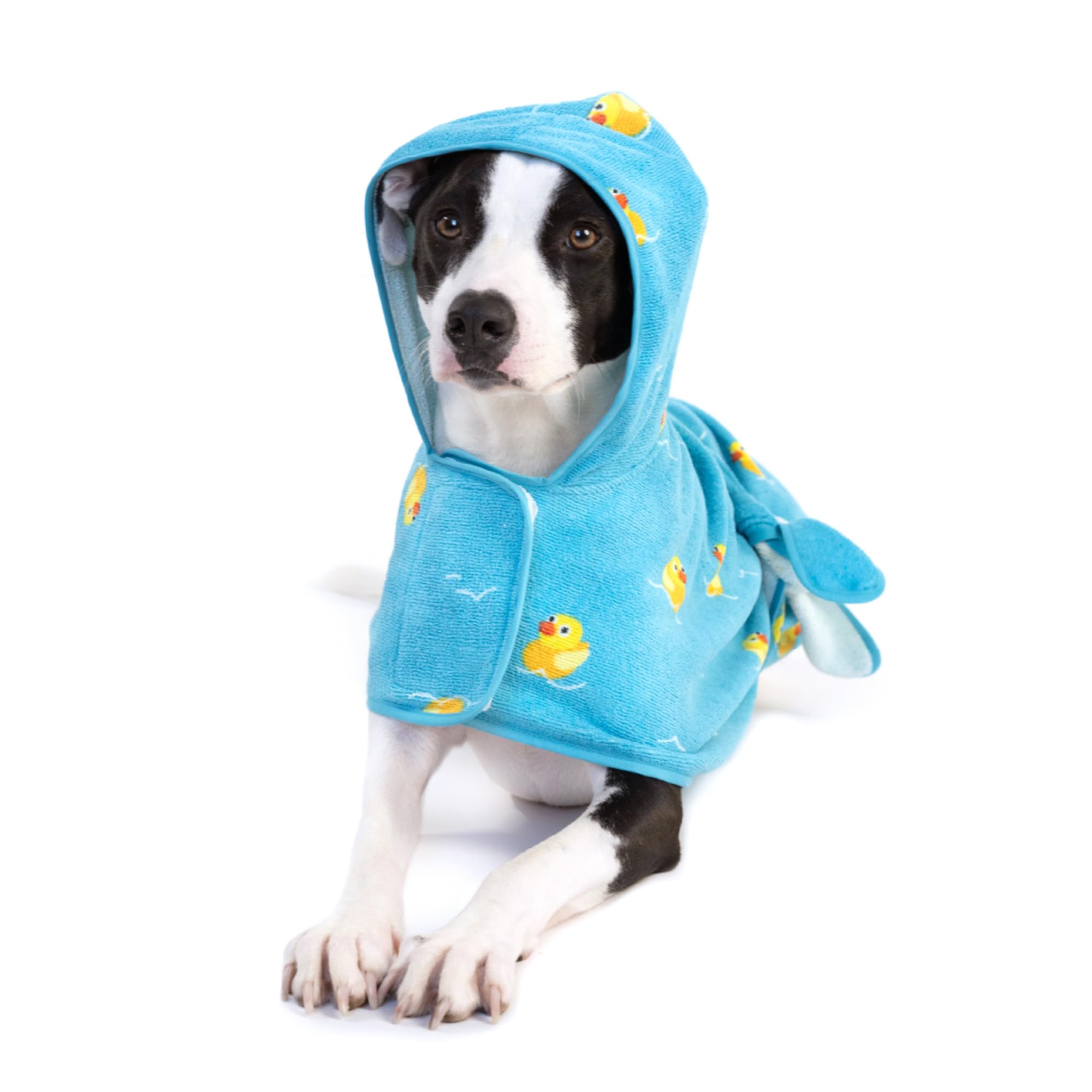 BarkBox dog bathrobe fast-dry-closure keeps your pup warm after baths