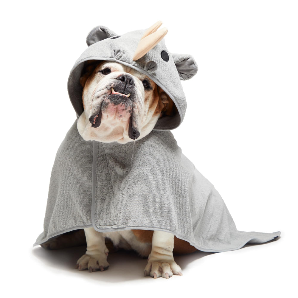 BarkBox quick-dry dog bathrobe in action after a bath, keeping fur cozy.