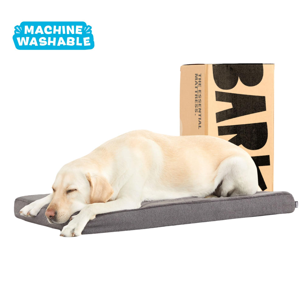 Barkbox crate pad option fits inside crates for crate training setups.