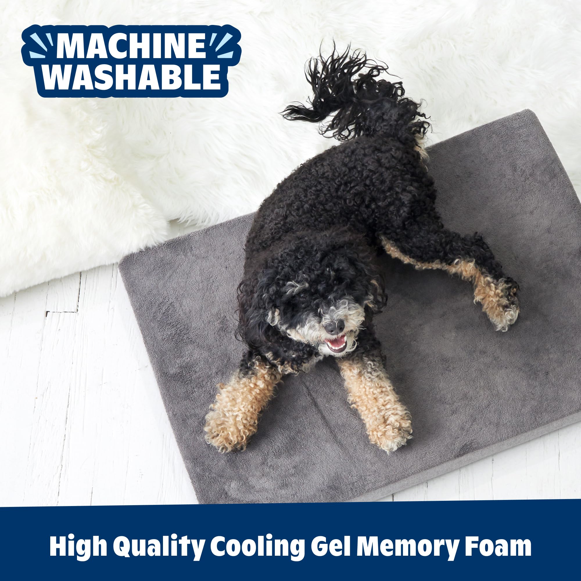 BARKBOX durable construction resists wear for daily use and longevity