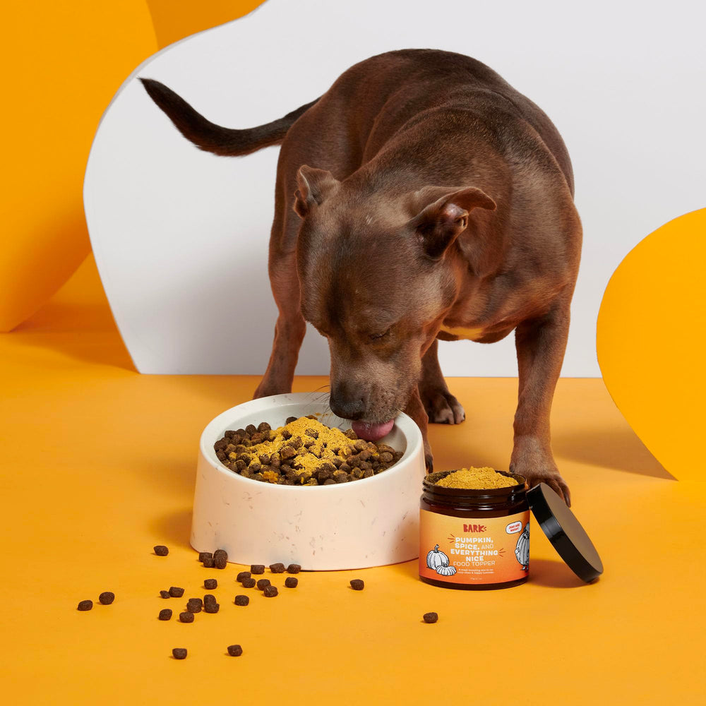 Barkbox-easy-rehydrate-broth-topper simplifies mealtime preparation for busy homes.