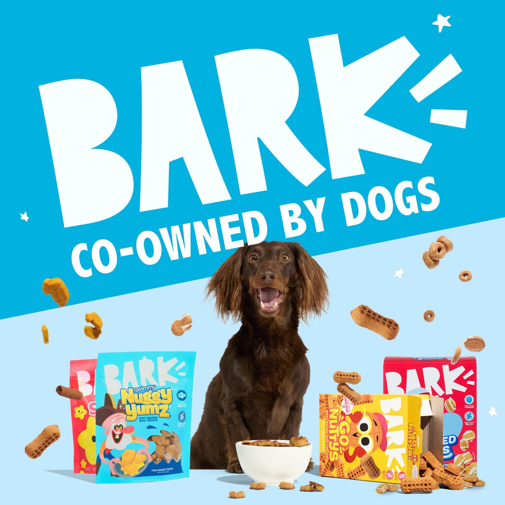 Serving plate with BarkBox Fruity Toot Loops ready as a treat.