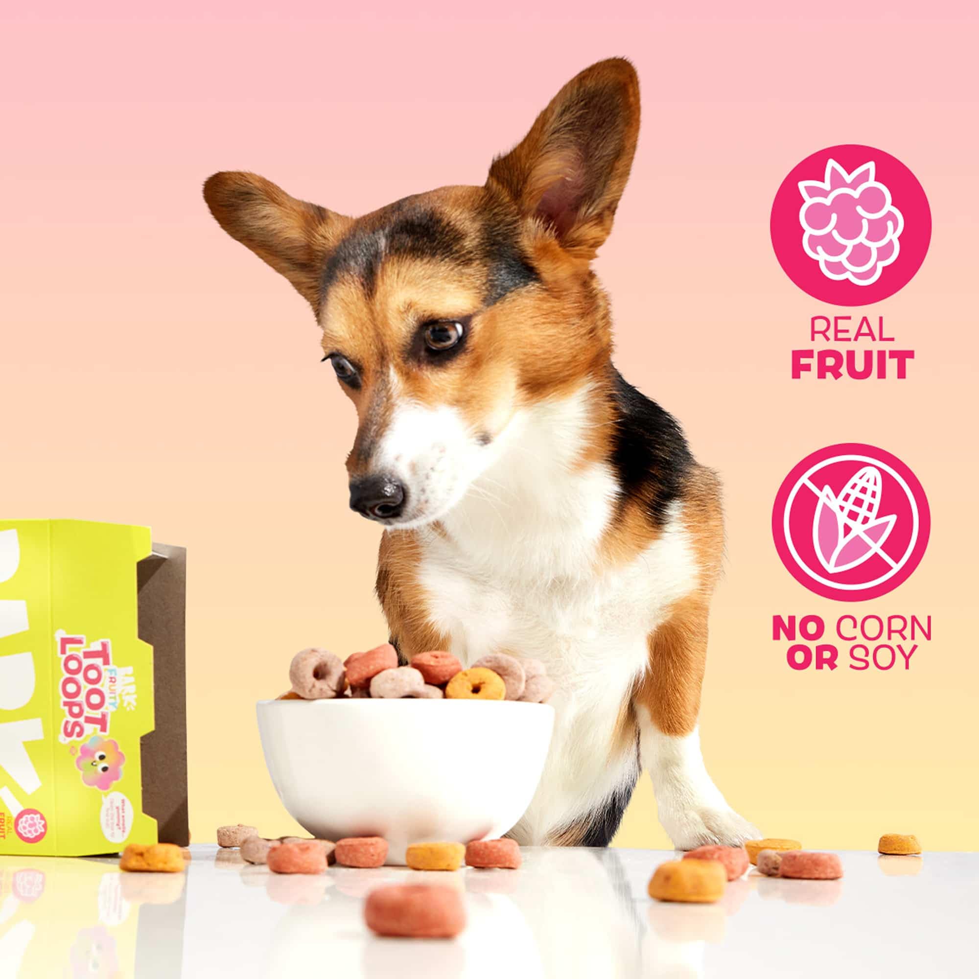 Treats arranged for BarkBox Fruity Toot Loops display, ideal for rewards.