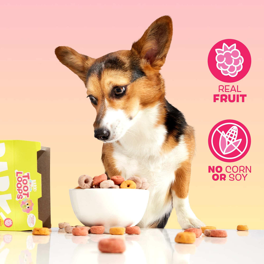 Treats arranged for BarkBox Fruity Toot Loops display, ideal for rewards.