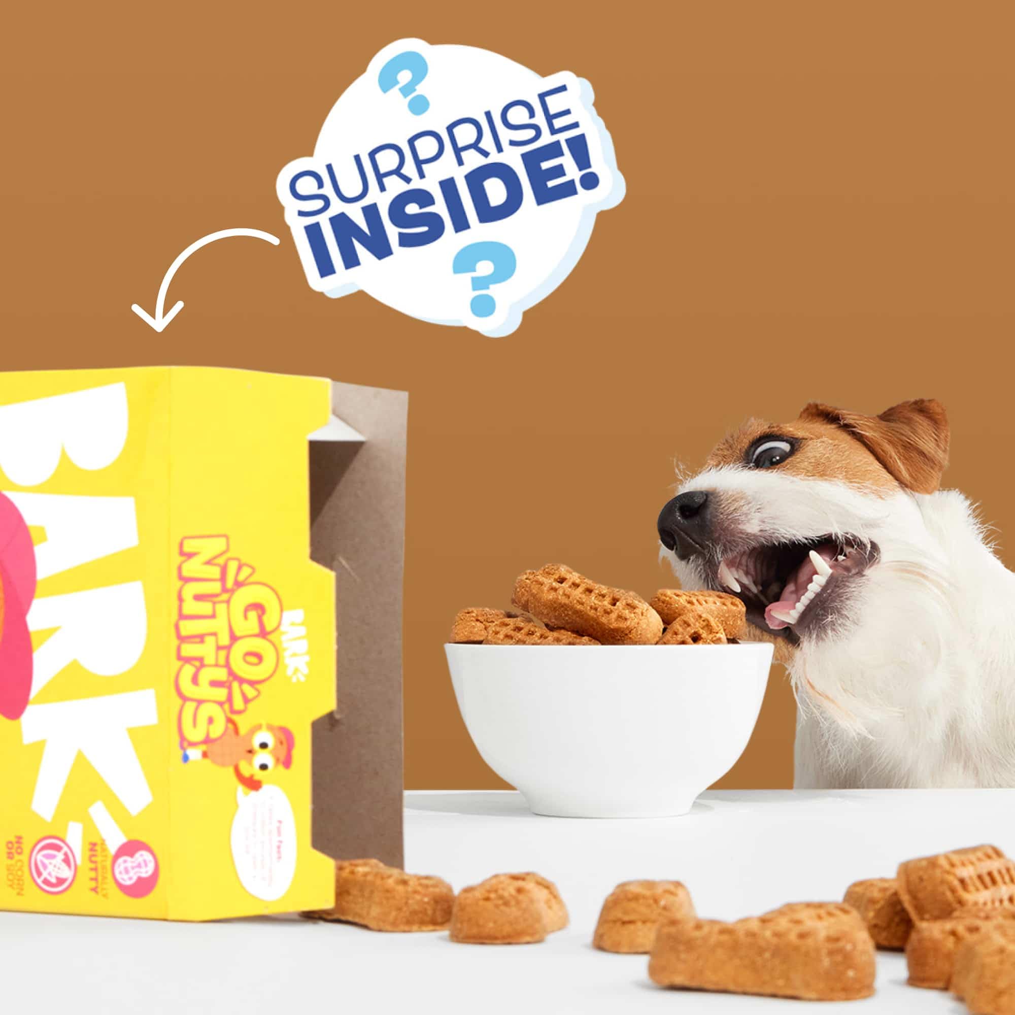BarkBox Go Nutty made-in-usa label reassures quality and local sourcing.