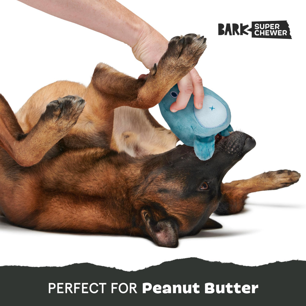 BarkBox Grey Bear Hugger plush comfort blended with durable chew for dogs