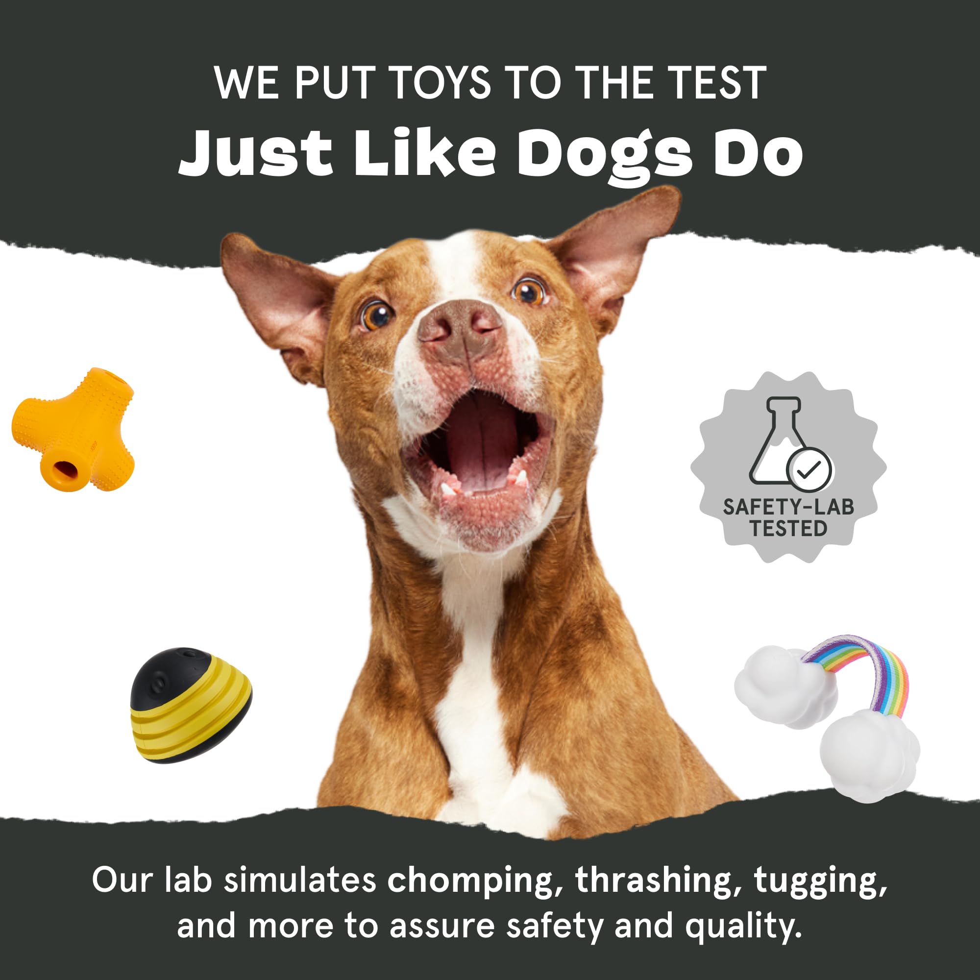 BarkBox Grey Bear Hugger core remains secure during vigorous chews