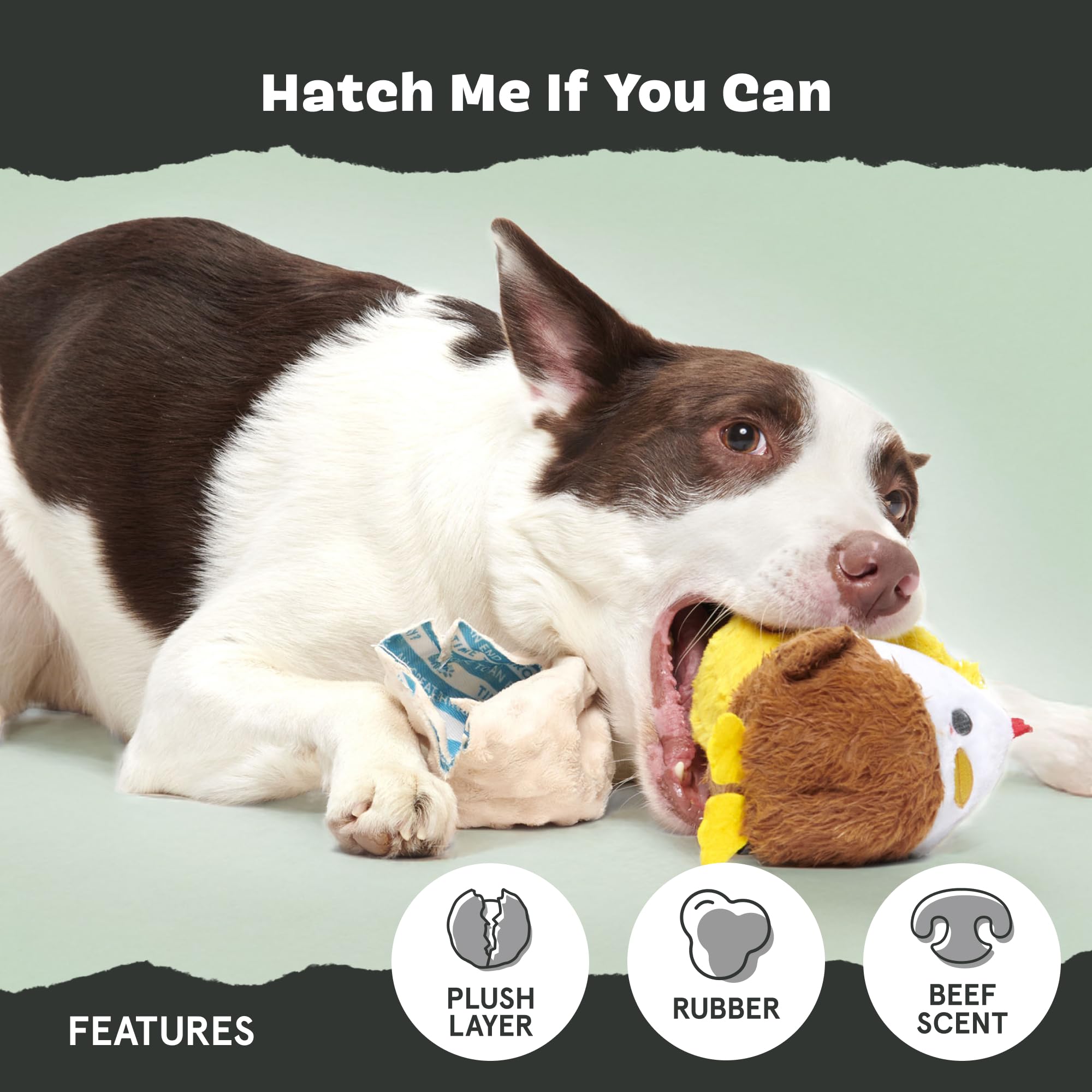 Bird toy revealed inside for varied textures during sessions